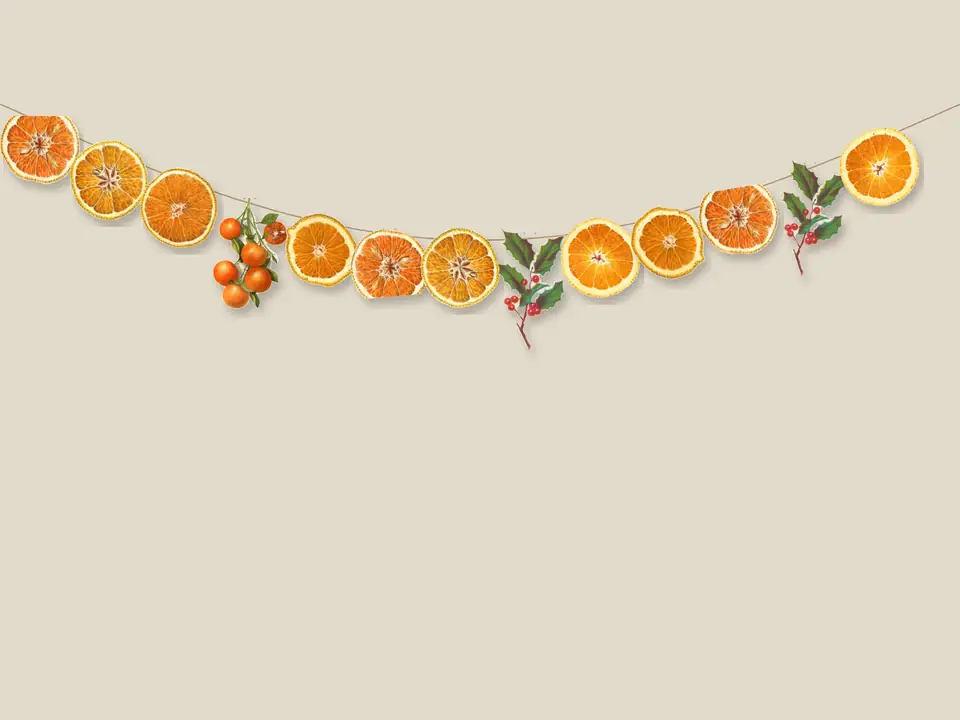 Dried Orange Paper Garland