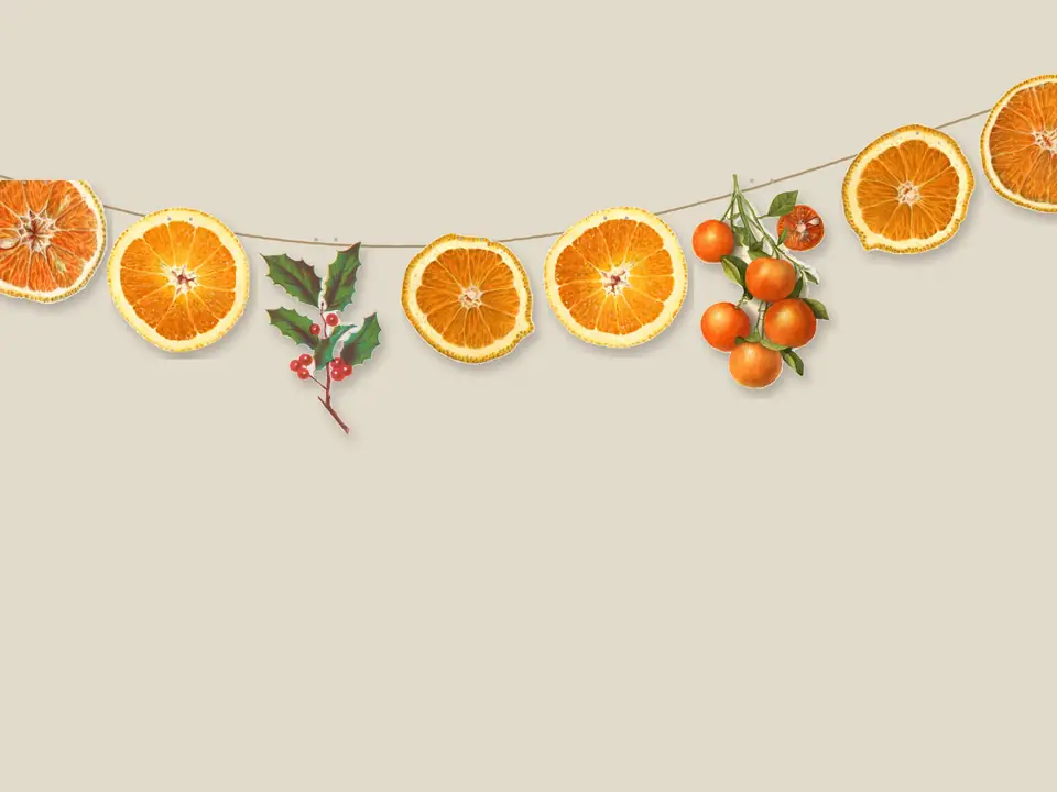 Dried Orange Paper Garland, photo 2