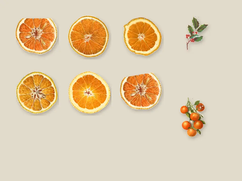 Dried Orange Paper Garland, photo 3