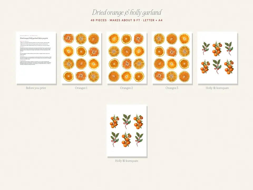 Dried Orange Paper Garland, photo 4
